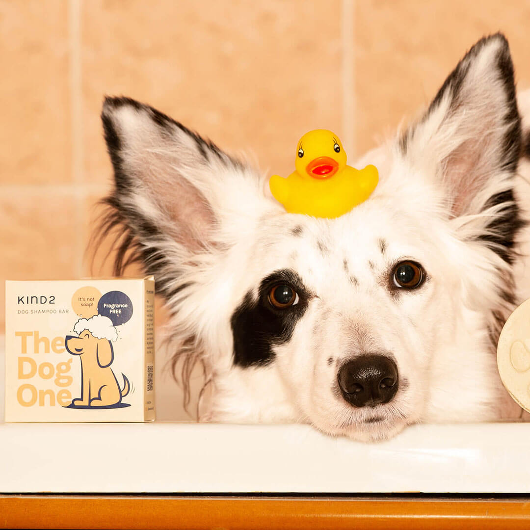 The Dog One - Shampoo Bar Fragrance Free-3